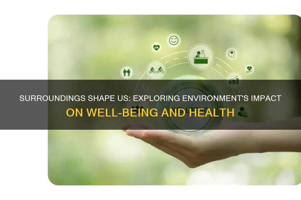 how our environment impacts our well being