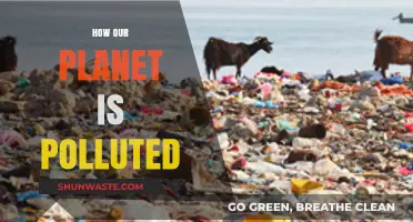The Earth Suffocates: Pollution's Deadly Grip