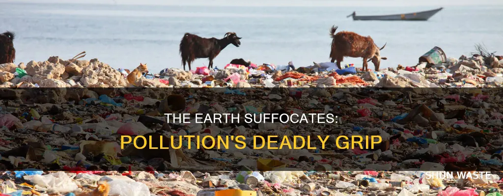 how our planet is polluted