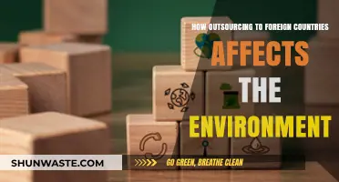 Outsourcing Abroad: Environmental Impacts and Global Sustainability Challenges
