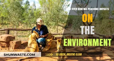 Devastating Effects of Overhunting and Poaching on Ecosystems and Biodiversity