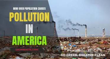 Overpopulation's Impact: America's Pollution Crisis Explained