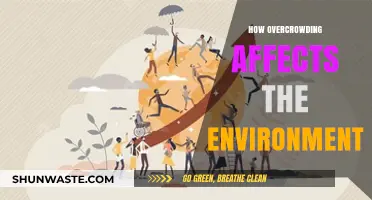 Overcrowding's Impact: Environmental Consequences of Population Density Explored