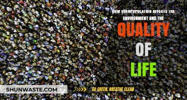 Overpopulation's Impact: Environment, Resources, and Diminishing Quality of Life