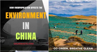 China's Overpopulation Crisis: Environmental Impacts and Sustainability Challenges