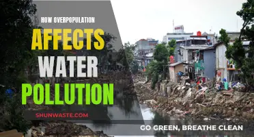 Water Pollution: Overpopulation's Impact and Solutions