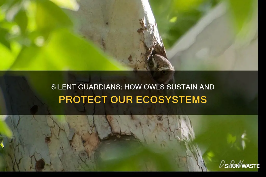 how owls help the environment