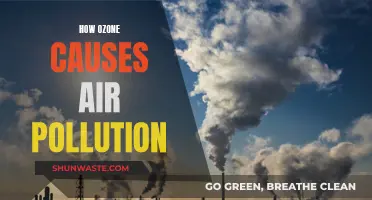 Ozone's Harmful Impact: Understanding Air Pollution