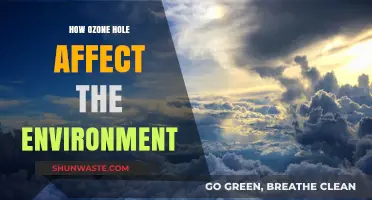 Ozone Hole's Impact: Environmental Consequences and Global Climate Concerns