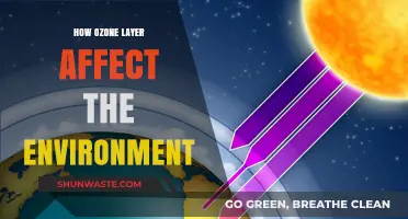 Ozone Layer's Impact: Protecting Earth's Environment and Ecosystems