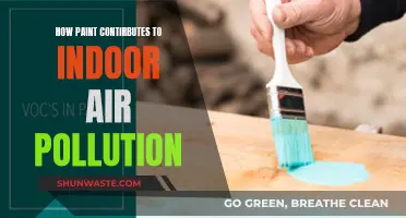 Paint Pollution: Indoor Air Quality Impact