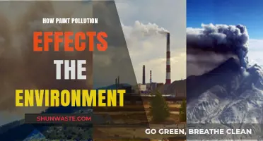 Paint Pollution: Environmental Impact and Solutions