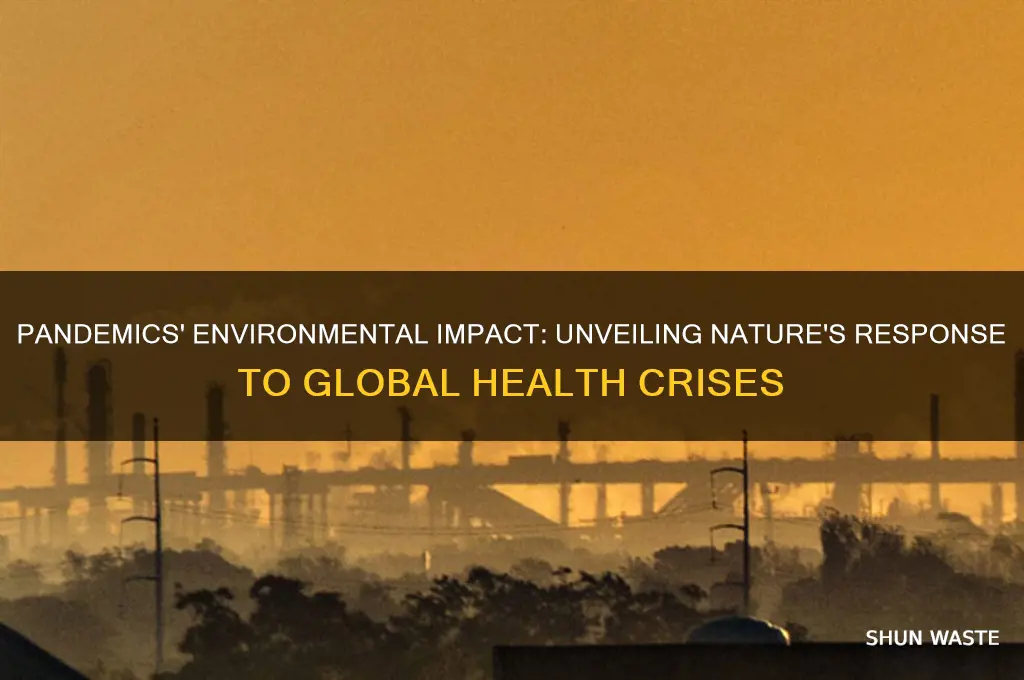 how pandemics affect the environment