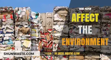 Paper's Environmental Impact: Uncovering Its Hidden Ecological Footprint