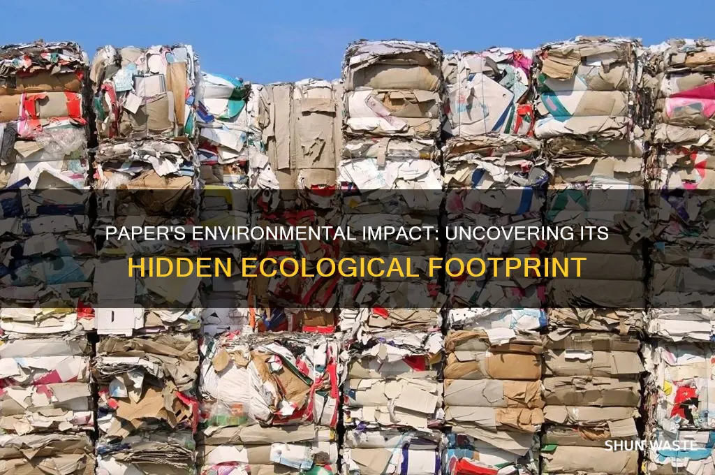 how paper affect the environment