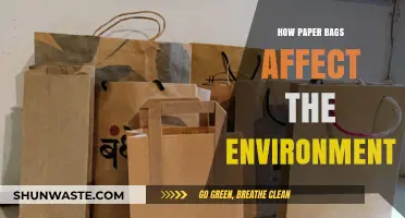 Paper Bags' Environmental Impact: Sustainable Choice or Hidden Harm?