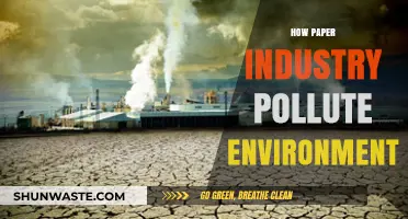 Paper Industry's Environmental Impact: Pollution and Solutions