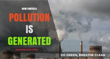 Particle Pollution: Sources and Origins