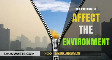 Particulate Pollution: Unseen Environmental Threats and Their Global Impact