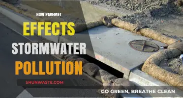 Pavement's Impact on Stormwater Pollution