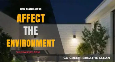 Paving's Environmental Impact: Consequences of Urban Hardscaping on Ecosystems