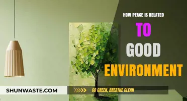 Peaceful Environments: Nurturing Harmony Through Sustainable and Green Practices