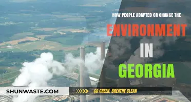 Georgia's Evolution: How Humans Shaped Its Environment Over Time