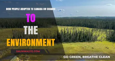Adapting to Canada: Navigating Cultural Shifts and Environmental Changes