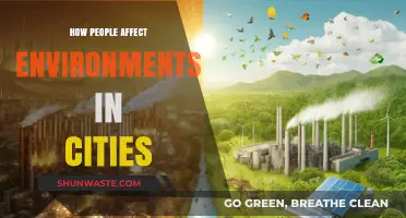 Urban Footprints: How Human Actions Reshape City Environments
