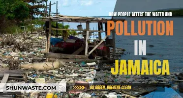 People's Impact: Jamaican Water and Pollution