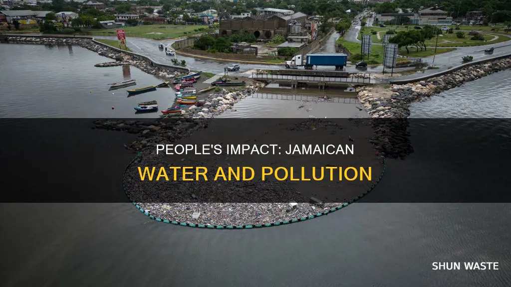 how people affect the water and pollution in jamaica