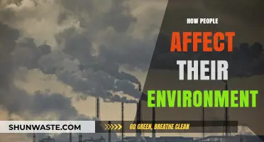 Human Impact: Shaping Our Environment Through Daily Choices and Actions