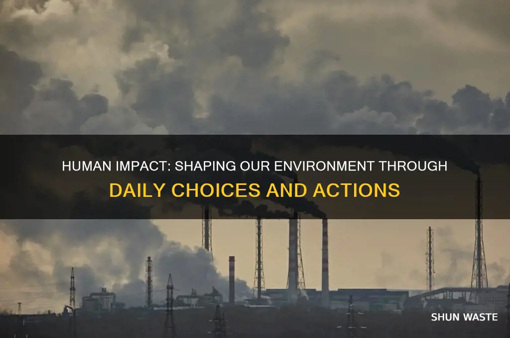 how people affect their environment