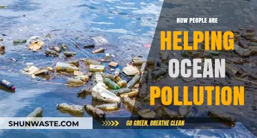 Human Efforts to Save Our Oceans