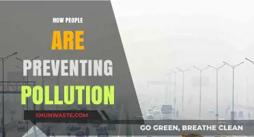 Innovative Ways to Combat Pollution
