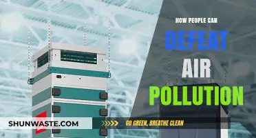 Breathing Clean: Empowering Individuals to Tackle Air Pollution