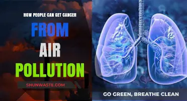 Unveiling the Hidden Dangers: How Air Pollution Breeds Cancer