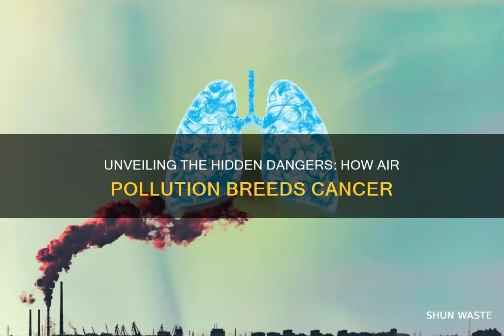 how people can get cancer from air pollution