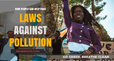 Empowering Change: Citizen Action for Anti-Pollution Legislation