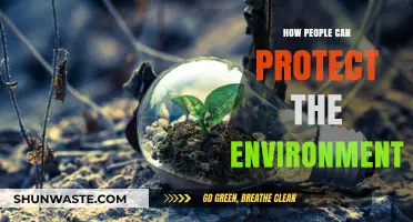 Sustainable Living: Simple Steps to Protect Our Planet and Future