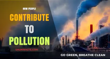 Human Impact: Pollution's Cause and Effect