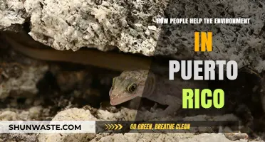 Puerto Rico's Green Heroes: Community Efforts to Protect Our Environment