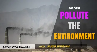 Human Impact: Polluting Our Environment
