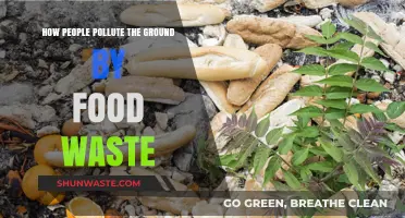 Food Waste: Poisoning the Earth's Soil