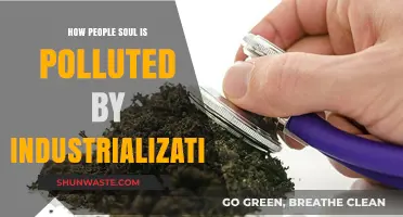 Industrialization's Dark Side: Polluting Our Souls