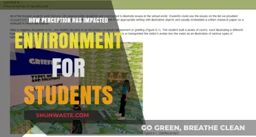 Perception's Power: Shaping Student Environments and Learning Experiences