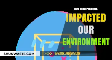 Perception's Power: Shaping Our Environments and Influencing Our World