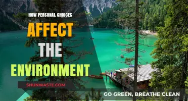 Sustainable Living: How Your Daily Choices Shape Our Planet's Future