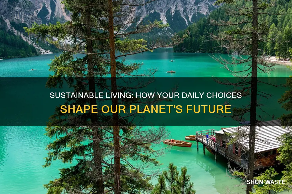how personal choices affect the environment