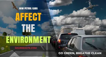 Petrol Cars' Environmental Impact: Pollution, Climate Change, and Sustainability Challenges